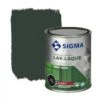 Sigma Lak Exterieur Grachtengroen Hoogglans 750 Ml