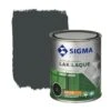 Sigma Lak Exterieur 7021 Zwart Grijs Zijdeglans 750 Ml 1 Sigma Lak Exterieur 7021 Zwart Grijs Zijdeglans 750 Ml -Muurverf Voor Thuis 123 1521