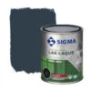 Sigma Lak Exterieur 5011 Staalblauw Hoogglans 750 Ml -Muurverf Voor Thuis 123 1552