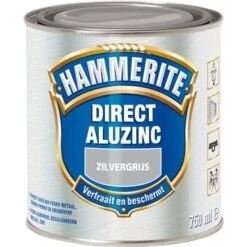 Hammerite Direct AluZinc Metaallak Zilvergrijs 750 Ml -Muurverf Voor Thuis 123 1873