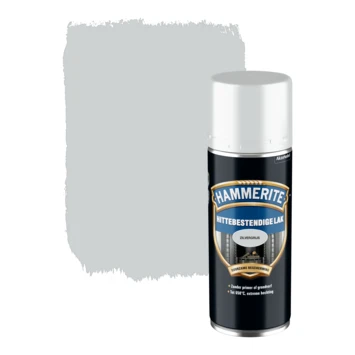 Hammerite Spuitlak Hittebestendig Zilvergrijs Hoogglans 400 Ml 3 Hammerite Spuitlak Hittebestendig Zilvergrijs Hoogglans 400 Ml