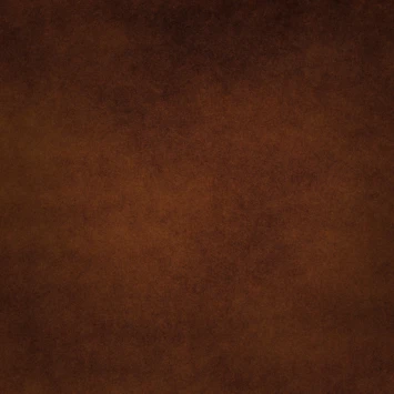 Rust-Oleum Finish Verf 400Ml Gietbrons 5 Rust-Oleum Finish Verf 400Ml Gietbrons - Afbeelding 3