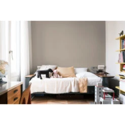 Flexa Creations Muurverf Urban Taupe Extra Mat 2,5 Liter 12 Flexa Creations Muurverf Urban Taupe Extra Mat 2,5 Liter -Muurverf Voor Thuis 123 2348