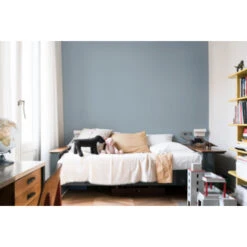 Flexa Creations Muurverf Extra Mat Bright Skies 1 L -Muurverf Voor Thuis 123 2397