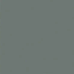 GAMMA Color Intense Muurverf Extra Mat 2,5 L Celadon -Muurverf Voor Thuis 123 2430