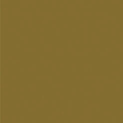 GAMMA Color Intense Muurverf Extra Mat 2,5 L Komijngeel -Muurverf Voor Thuis 123 2434