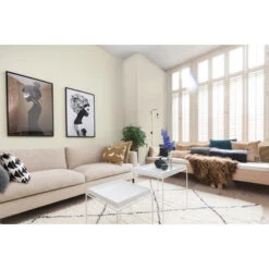 Histor Perfect Finish Muurverf Mat Ral 9001 2,5 Liter 11 Histor Perfect Finish Muurverf Mat Ral 9001 2,5 Liter -Muurverf Voor Thuis 123 2459