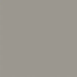 GAMMA Color Intense Muurverf Extra Mat 2,5 L Malt -Muurverf Voor Thuis 123 2473