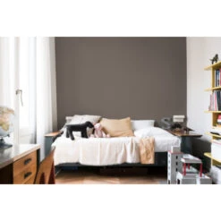 Flexa Creations Muurverf Spacious Grey Extra Mat 2,5 Liter 12 Flexa Creations Muurverf Spacious Grey Extra Mat 2,5 Liter -Muurverf Voor Thuis 123 2620