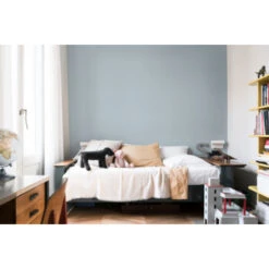 Flexa Creations Muurverf Frosted Sky Extra Mat 1 Liter 12 Flexa Creations Muurverf Frosted Sky Extra Mat 1 Liter -Muurverf Voor Thuis 123 2649