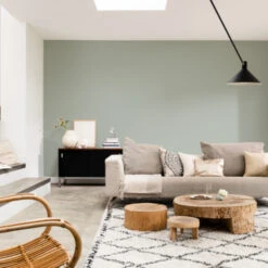 Flexa Creations Muurverf Extra Mat Tranquil Dawn 2,5 Liter -Muurverf Voor Thuis 123 2723