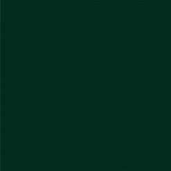 GAMMA Titan Buitenlak Hoogglans 750 Ml Dennengroen -Muurverf Voor Thuis 123 273