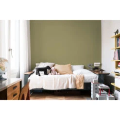 Flexa Creations Muurverf Olive Tree Extra Mat 2,5 Liter 12 Flexa Creations Muurverf Olive Tree Extra Mat 2,5 Liter -Muurverf Voor Thuis 123 2747