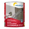 Aquaplan Waterdruk-stop Cement 1 Kg -Muurverf Voor Thuis 123 2770