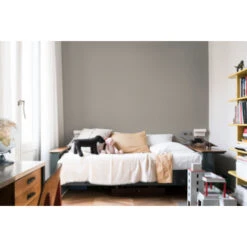 Flexa Creations Muurverf Crystal Reflection Metallic 1 Liter -Muurverf Voor Thuis 123 2840