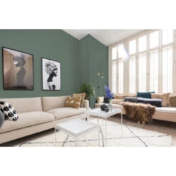 Histor Perfect Finish Muurverf Mat Dried Holly 2,5 Liter -Muurverf Voor Thuis 123 2992