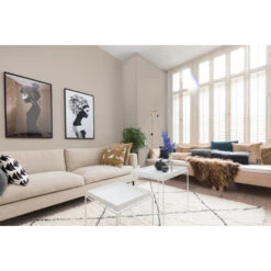 Histor Perfect Finish Muurverf Mat In The Buff 2,5 Liter -Muurverf Voor Thuis 123 3042