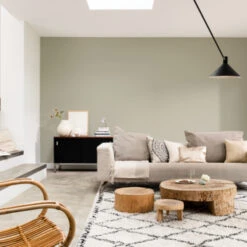 Flexa Creations Muurverf Green Tea Krijt 2.5 L -Muurverf Voor Thuis 123 3125