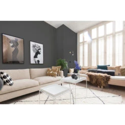 Histor Perfect Finish Muurverf Mat Knights Armor 2,5 Liter -Muurverf Voor Thuis 123 3456