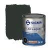 Sigma Lak Interieur 9005 Gitzwart Zijdeglans 750 Ml