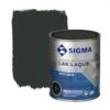 Sigma Lak Interieur Mat RAL9005 Gitzwart 750 Ml -Muurverf Voor Thuis 123 612