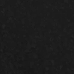 Rust-Oleum Gegalvan. Verf 250Ml Ral9005 -Muurverf Voor Thuis 123 632